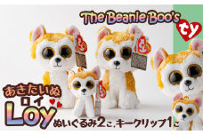Tyぬいぐるみ秋田犬Loy(ロイ)　2個＆キークリップセット 45P7302