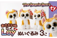 Tyぬいぐるみ秋田犬Loy(ロイ)　3個セット 60P7320