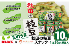 秋田の枝豆（スナック）10箱（60袋入) 100P5601