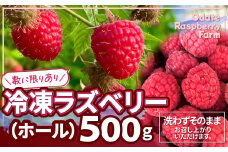 冷凍ラズベリー（ホール）500g 85P3402　/ ラズベリー らずべりー raspberry フランボワーズ キイチゴ 果物 くだもの フルーツ 東北 秋田 大館 おおだて 冷凍 ホール 