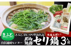 【思いやり型返礼品】 セリ鍋３人前 85P5702 / 鍋 セット 郷土鍋 鍋もの 美味しい贈り物 グランプリ 本場 きりたんぽ 鍋 比内地鶏 比内鶏 郷土 料理 簡単 調理 ひないどり ブランド肉 野菜 ねぎ 芹 セリ まいたけ ごぼう だし なべ 食材 出汁 取り寄せ 東北 秋田 大館  大館市 手軽 ご当地 グルメ セット 地鶏 せり鍋 セリ鍋 せりなべ セリ鍋 手軽 ミールキット