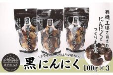 比内ヒルズ黒にんにく100ｇ×3袋 60P5708