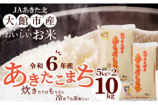 【令和6年産】秋田県大館産あきたこまち10kg(5kg×2) 140P9005  / 農協 秋田 東北 精米  小分け米 10kg 白米 令和6年産 秋田県産 あきたこまち 5kg×2袋 おにぎり 大館 東北 秋田 こわけ ブランド米 おいしい キロ キログラム