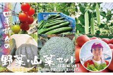 四季折々の野菜・山菜セット（5品目ほど） 45P3203