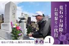 お墓のお掃除、お墓参り代行（手でのお掃除）300P8472