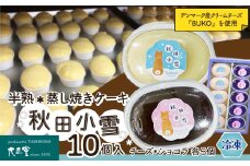 秋田小雪10個入 45P5601