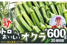 トロッとおいしいオクラ＜約600g＞ 50P3254　/ 東北 秋田 大館 新鮮 農産物 農家 野菜 おくら オクラ 農産物 産直 農家 ハウス栽培 夏野菜 夏やさい サラダ 総菜  おかず 農家直送