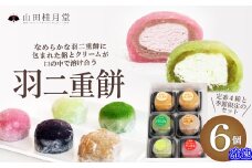 羽二重餅６個入 30P5607　/ 東北 秋田 大館 大館市 菓子 餅 もち おもち お餅 羽二重餅 はぶたえもち 和菓子 ギフト プレゼント 贈り物 母の日 父の日 敬老の日 誕生日 記念日 お祝い 創作和菓子 大福 アイス 自分への ご褒美 プチ贅沢
