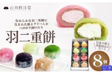 羽二重餅８個入 40P5607　/ 東北 秋田 大館 大館市 菓子 餅 もち おもち お餅 羽二重餅 はぶたえもち 和菓子 ギフト プレゼント 贈り物 母の日 父の日 敬老の日 誕生日 記念日 お祝い 創作和菓子 大福 アイス 自分への ご褒美 プチ贅沢