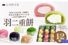 羽二重餅１２個入 60P5607　/ 東北 秋田 大館 大館市 菓子 餅 もち おもち お餅 羽二重餅 はぶたえもち 和菓子 ギフト プレゼント 贈り物 母の日 父の日 敬老の日 誕生日 記念日 お祝い 創作和菓子 大福 アイス 自分への ご褒美 プチ贅沢 