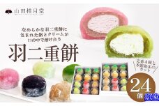 羽二重餅２４個入 115P5601　/ 東北 秋田 大館 大館市 菓子 餅 もち おもち お餅 羽二重餅 はぶたえもち 和菓子 ギフト プレゼント 贈り物 母の日 父の日 敬老の日 誕生日 記念日 お祝い 創作和菓子 大福 アイス 自分への ご褒美 プチ贅沢 