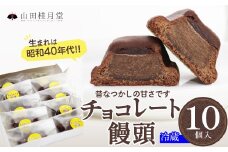 チョコレート饅頭１０個入 40P5614　/ 東北 秋田 大館 大館市 菓子 和菓子 ギフト プレゼント 贈り物 母の日 父の日 敬老の日 誕生日 記念日 お祝い 創作和菓子 ハチ公 創作和菓子 ハチ公 チョコ　まんじゅう おまんじゅう