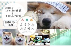 【ふるさわ温泉日帰り体験】秋田犬ふれあい体験ときりたんぽ定食(1名様分) 50P8407