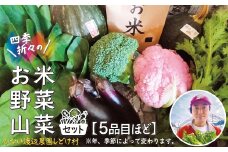 米野菜・山菜セット（5品目ほど） 115P3203
