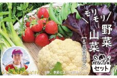 モリモリ野菜・山菜セット（5品目ほど） 75P3205