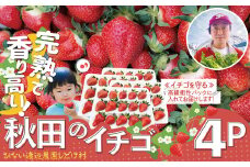 【完熟で香り高い！】秋田のイチゴ４P 200P3401