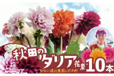 新鮮！綺麗！秋田のダリア〈10本花束〉 100P7811