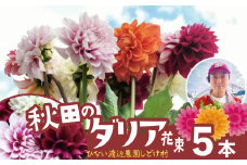 新鮮！綺麗！秋田のダリア〈5本花束〉 50P7804