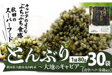 とんぶり大地のキャビア　真空パック３０袋 125P3201 /  東北 秋田 大館 野菜 とんぶり ほうき木の実 畑のキャビア 真空パック 真空 ほうき 草 実 トンブリ