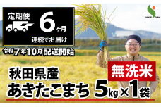 新米先行受付 【定期便6ヶ月】秋田県産あきたこまち(無洗米)5kg 450P9205　/ 米 無洗米 5kg 白米 令和7年産 秋田県産 あきたこまち 5kg×1袋 おにぎり 大館 東北 秋田 小分け こわけ 大館市 5キロ 5ｷﾛ 5きろ