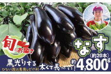 ナス 黒光りする太くて長い！ 約4800g　80P3204　/ 東北 秋田 大館 野菜 新鮮 農産物 農家 なす 農家直送