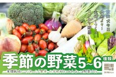 季節の野菜セット 5～6種類　70P3207 / 東北 秋田 大館 野菜 新鮮 農産物 農家  農家直送 ネギ レタス ブロッコリー キャベツ  ダイコン カブ ソラマメ カリフラワー ニンニク タマネギ ダイコン カブ ソラマメサツマイモ サトイモ 落花生 ダイコン カブ ハクサイ キャベツ ニンジン コマツナ レタス 春菊 わさび菜 カリフラワー 辛味大根 栽培期間中 農薬 化学肥料 不使用