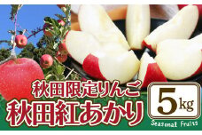 期間・数量限定【陽気な母さんの店】Ｒ7年産「秋田紅あかり」（5kg）105P3401  / 東北 秋田 大館 リンゴ 林檎 果物 フルーツ 東北 秋田 大館 りんご べにあかり 紅あかり ベニアカリ ジューシー 果汁 おいしい 農家直送 5kg