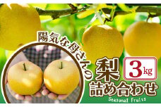 期間・数量限定【陽気な母さんの店】Ｒ7年産「梨詰合」（3kg） 50P3425 / 東北 秋田 大館 梨 ナシ なし 和梨 幸水 豊水 秋月 果物 くだもの フルーツ 東北 秋田 大館 中山地区 中山なし 中山梨 なかやまなし 農家直送 