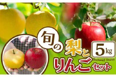期間・数量限定【陽気な母さんの店】Ｒ7年産「旬の梨とりんご詰合」（5kg）75P3406 / 東北 秋田 大館 梨 ナシ なし 和梨 幸水 豊水 秋月 果物 くだもの フルーツ 東北 秋田 大館 中山地区 中山なし 中山梨 なかやまなし 農家直送 りんご リンゴ 林檎 セット くだものセット 梨りんごセット 梨とりんごのセット なしとりんご ナシとリンゴ りんごと梨のセット りんごとなし