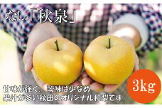 期間・数量限定【陽気な母さんの店】Ｒ7年産「和梨　秋泉」（3kg）85P3403 / 東北 秋田 大館 梨 ナシ  なし 和梨 果物 くだもの フルーツ 東北 秋田 大館 中山地区 中山なし 中山梨 なかやまなし 秋泉 農家直送 