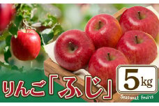 期間・数量限定【陽気な母さんの店】Ｒ7年産「ふじ」（5kg）75P3408 /  東北 秋田 大館 リンゴ 林檎 果物 フルーツ 東北 秋田 大館 りんご ふじ フジ ジューシー 果汁 おいしい 農家直送 5kg