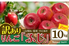 期間・数量限定【陽気な母さんの店】Ｒ7年産「訳ありふじ」（10kg）95P3403 /  東北 秋田 大館 リンゴ 林檎 果物 フルーツ 東北 秋田 大館 りんご ふじ フジ ジューシー 果汁 おいしい 農家直送 10kg わけあり ワケアリ 訳あり 訳アリ つる割れ ツルワレ ツル割れ サビ さび 日焼け 変形 小玉 