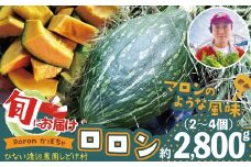 カボチャ 旨味がトロけるロロンで幸せな一時を 約2800g　50P3260 / 東北 秋田 大館 野菜 新鮮 農産物 農家 かぼちゃ カボチャ ロロン ろろん 農家直送 シチュー プリン