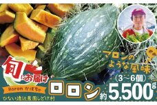 カボチャ 旨味がトロけるロロンで幸せな一時を 約5500g　100P3261 / 東北 秋田 大館 野菜 新鮮 農産物 農家 かぼちゃ カボチャ ロロン ろろん 農家直送 シチュー プリン
