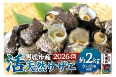 《2026年7月中旬～8月下旬発送》男鹿産天然さざえ 約2kg (約20個～25個) サザエ 栄螺