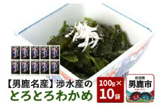 【男鹿名産】渉水産のとろとろわかめ 100g×10袋 無添加 無着色 秋田 男鹿産