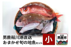 男鹿船川港直送おまかせ旬の地魚セット（小）秋田県 男鹿市 萬漁水産