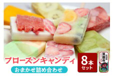 フローズンキャンディ おまかせ詰め合わせ ８本セット ゴンタロー