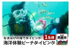 【なまはげの海でダイビング！！】 海洋体験ビーチダイビング 1名様 秋田県 男鹿半島 男鹿市