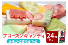 フローズンキャンディ おまかせ詰め合わせ 24本セット ゴンタロー