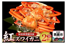 男鹿沖産紅ズワイガニ 600g 前後×2杯 男鹿なび 蟹 カニ 国産 秋田 ずわい蟹 ずわいガニ