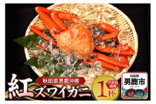 男鹿沖産紅ズワイガニ 700g 前後×1杯 男鹿なび 蟹 カニ 国産 秋田 ずわい蟹 ずわいガニ