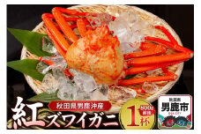 男鹿沖産紅ズワイガニ 800g 前後×1杯 男鹿なび 蟹 カニ 国産 秋田 ずわい蟹 ずわいガニ