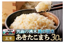 ＜新米受付＞令和7年産 あきたこまち 玄米 男鹿の湧水 滝の頭米 30kg 秋田県 男鹿市 いりあいファーム滝の頭