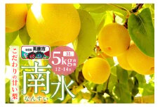 【先行受付】南水 梨 こだわりの甘い梨 5kg前後 3L 12～14玉 産地直送 旬の果物 ギフト 秋田県 男鹿市