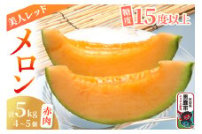 【先行受付】美人レッドメロン 4～5個 計5kg 甘みじゅうぶんの赤肉メロン 糖度15度以上 ミツバチ交配 秋田県 男鹿市 JAなまはげ