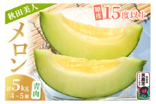【先行受付】秋田美人メロン 4～5個 計5kg 甘みじゅうぶんの青肉メロン 糖度15度以上 ミツバチ交配 秋田県 男鹿市 JA秋田なまはげ