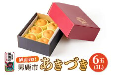 【令和7年度 早期受付】あきづき 梨 6玉 3L 梨 なし ナシ 秋田県 男鹿市 旬の果物 フルーツ