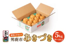 【令和7年度 早期受付】あきづき 5kg 9～14玉 梨 なし ナシ 秋田県 男鹿市 旬の果物 フルーツ