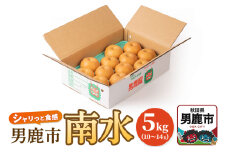 【令和7年度 早期受付】南水 5kg 10玉～14玉 梨 なし ナシ 秋田県 男鹿市 旬の果物 フルーツ